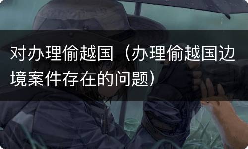 对办理偷越国（办理偷越国边境案件存在的问题）
