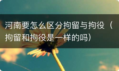 河南要怎么区分拘留与拘役（拘留和拘役是一样的吗）