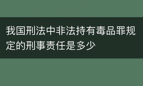 我国刑法中非法持有毒品罪规定的刑事责任是多少
