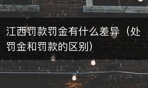 江西罚款罚金有什么差异（处罚金和罚款的区别）