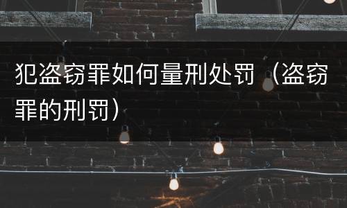 犯盗窃罪如何量刑处罚（盗窃罪的刑罚）