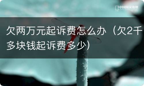 欠两万元起诉费怎么办（欠2千多块钱起诉费多少）