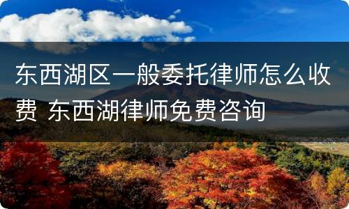 东西湖区一般委托律师怎么收费 东西湖律师免费咨询