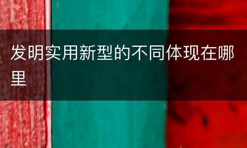 发明实用新型的不同体现在哪里