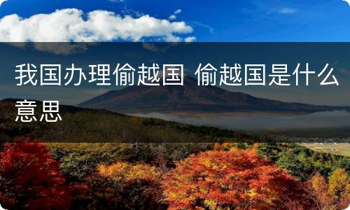 我国办理偷越国 偷越国是什么意思
