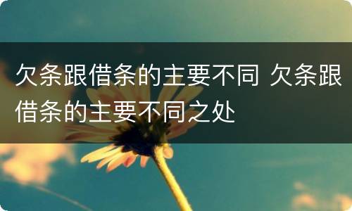 欠条跟借条的主要不同 欠条跟借条的主要不同之处