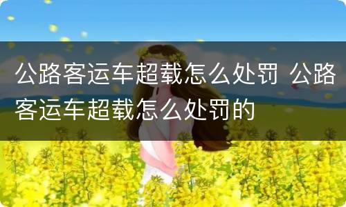 公路客运车超载怎么处罚 公路客运车超载怎么处罚的