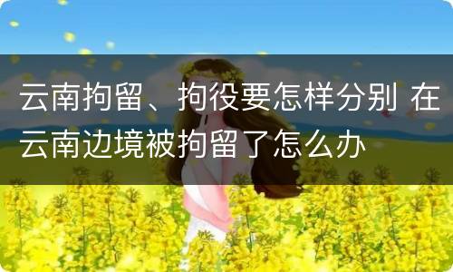 云南拘留、拘役要怎样分别 在云南边境被拘留了怎么办