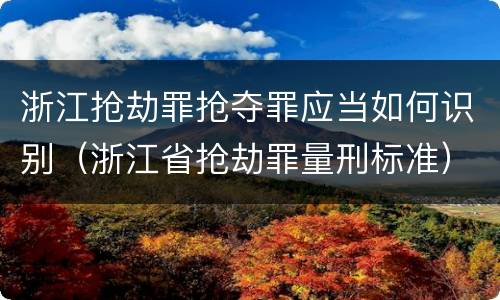 浙江抢劫罪抢夺罪应当如何识别（浙江省抢劫罪量刑标准）