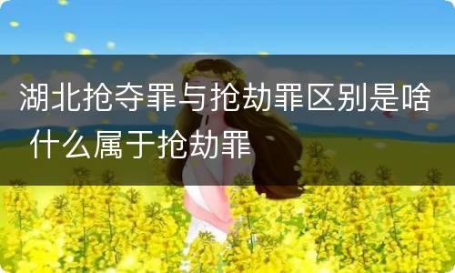 湖北抢夺罪与抢劫罪区别是啥 什么属于抢劫罪