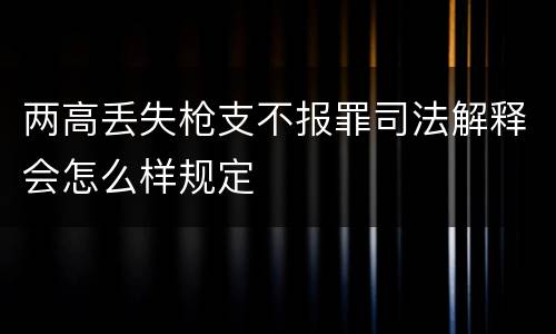 两高丢失枪支不报罪司法解释会怎么样规定