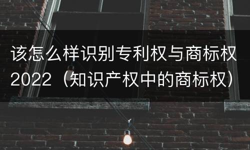 该怎么样识别专利权与商标权2022（知识产权中的商标权）