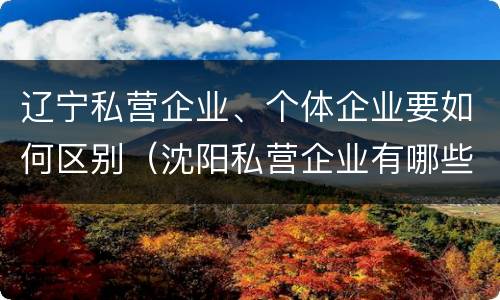辽宁私营企业、个体企业要如何区别（沈阳私营企业有哪些）