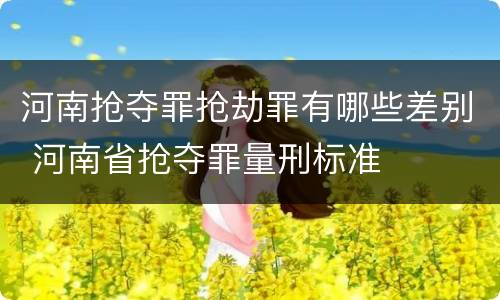 河南抢夺罪抢劫罪有哪些差别 河南省抢夺罪量刑标准