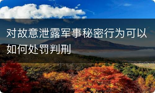 对故意泄露军事秘密行为可以如何处罚判刑