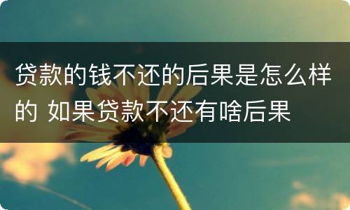 贷款的钱不还的后果是怎么样的 如果贷款不还有啥后果