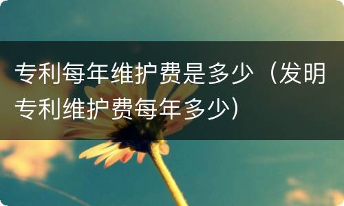 专利每年维护费是多少（发明专利维护费每年多少）