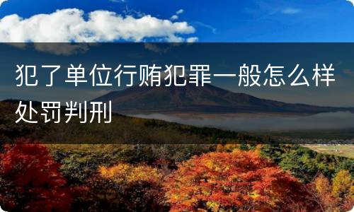 犯了单位行贿犯罪一般怎么样处罚判刑