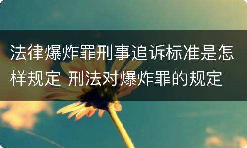 法律爆炸罪刑事追诉标准是怎样规定 刑法对爆炸罪的规定