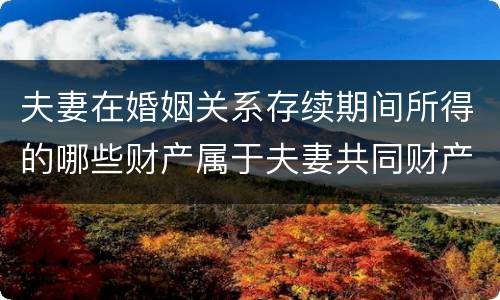 夫妻在婚姻关系存续期间所得的哪些财产属于夫妻共同财产
