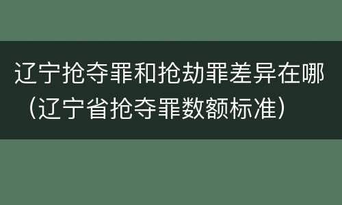辽宁抢夺罪和抢劫罪差异在哪（辽宁省抢夺罪数额标准）