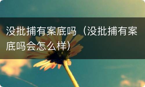 没批捕有案底吗（没批捕有案底吗会怎么样）