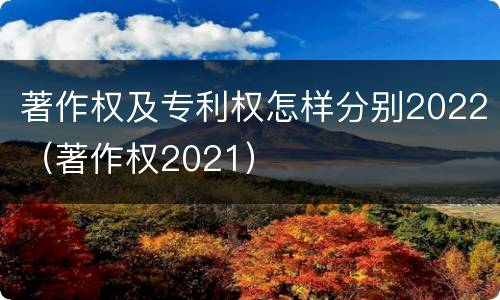 著作权及专利权怎样分别2022（著作权2021）