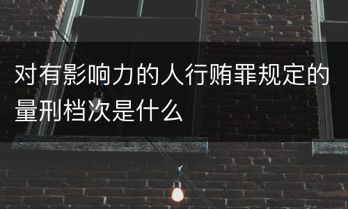 对有影响力的人行贿罪规定的量刑档次是什么