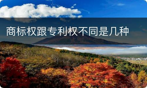商标权跟专利权不同是几种