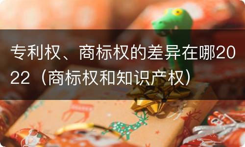 专利权、商标权的差异在哪2022（商标权和知识产权）