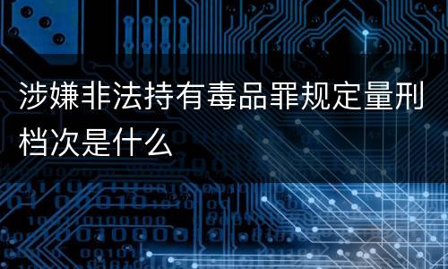 涉嫌非法持有毒品罪规定量刑档次是什么