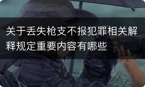 关于丢失枪支不报犯罪相关解释规定重要内容有哪些