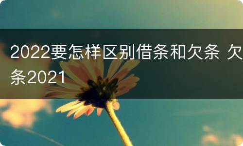 2022要怎样区别借条和欠条 欠条2021