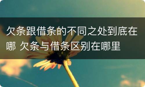 欠条跟借条的不同之处到底在哪 欠条与借条区别在哪里
