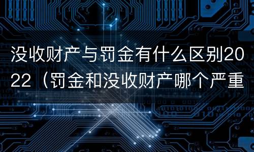 没收财产与罚金有什么区别2022（罚金和没收财产哪个严重）