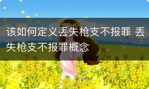 该如何定义丢失枪支不报罪 丢失枪支不报罪概念
