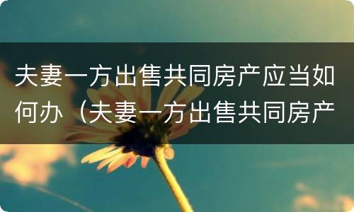 夫妻一方出售共同房产应当如何办（夫妻一方出售共同房产应当如何办理手续）