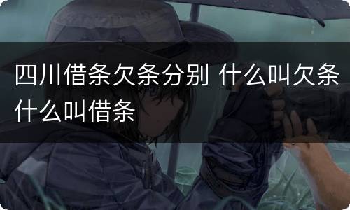 四川借条欠条分别 什么叫欠条什么叫借条