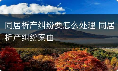 同居析产纠纷要怎么处理 同居析产纠纷案由