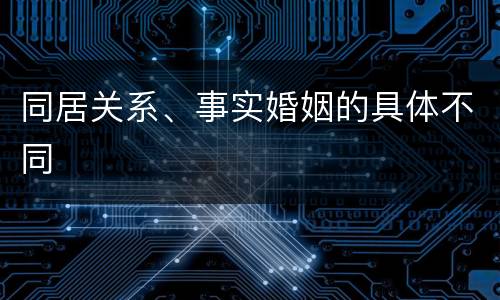 同居关系、事实婚姻的具体不同