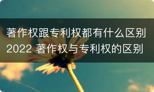 著作权跟专利权都有什么区别2022 著作权与专利权的区别