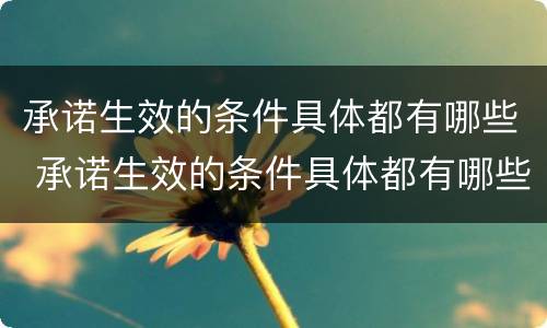 承诺生效的条件具体都有哪些 承诺生效的条件具体都有哪些呢