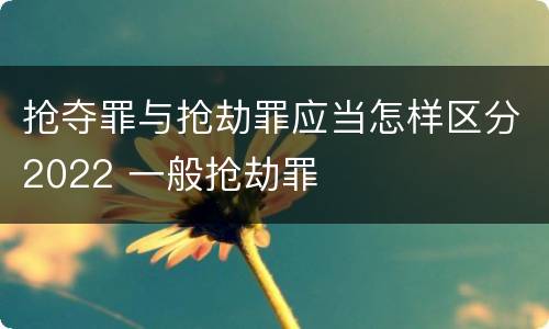 抢夺罪与抢劫罪应当怎样区分2022 一般抢劫罪