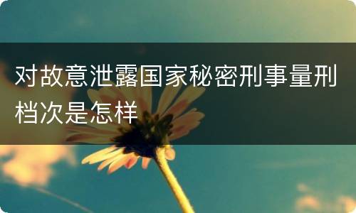 对故意泄露国家秘密刑事量刑档次是怎样