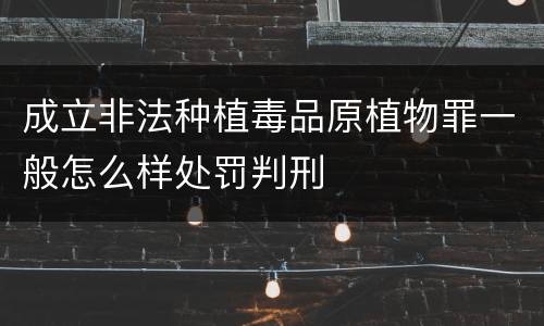 成立非法种植毒品原植物罪一般怎么样处罚判刑
