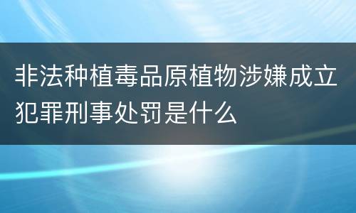 非法种植毒品原植物涉嫌成立犯罪刑事处罚是什么