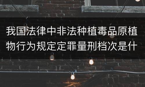 我国法律中非法种植毒品原植物行为规定定罪量刑档次是什么
