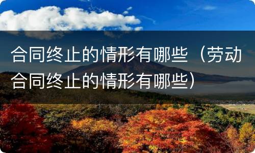 合同终止的情形有哪些（劳动合同终止的情形有哪些）