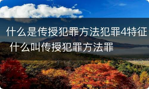 什么是传授犯罪方法犯罪4特征 什么叫传授犯罪方法罪