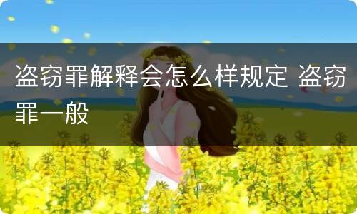 盗窃罪解释会怎么样规定 盗窃罪一般